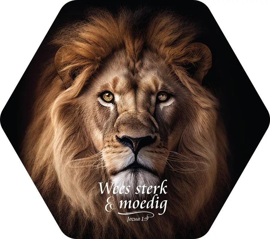 Honingraat bord Wees sterk en moedig