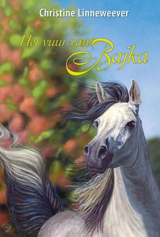 Vuur van Bajka
