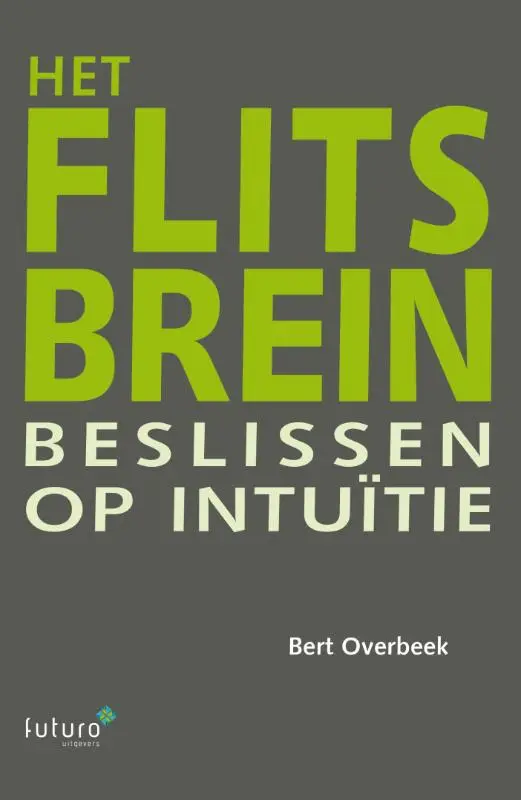 Het flitsbrein