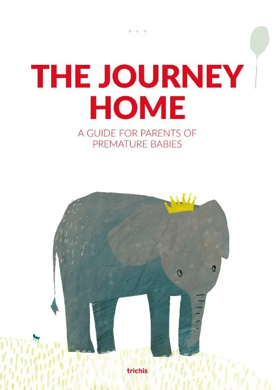 The Journey Home