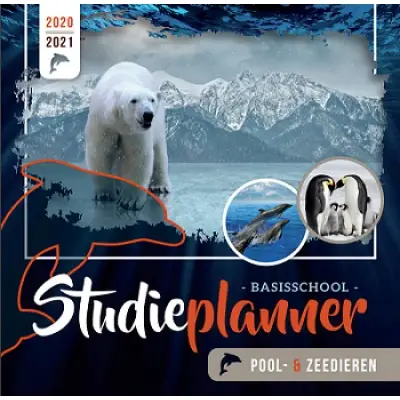 Studieplanner / 2020-2021