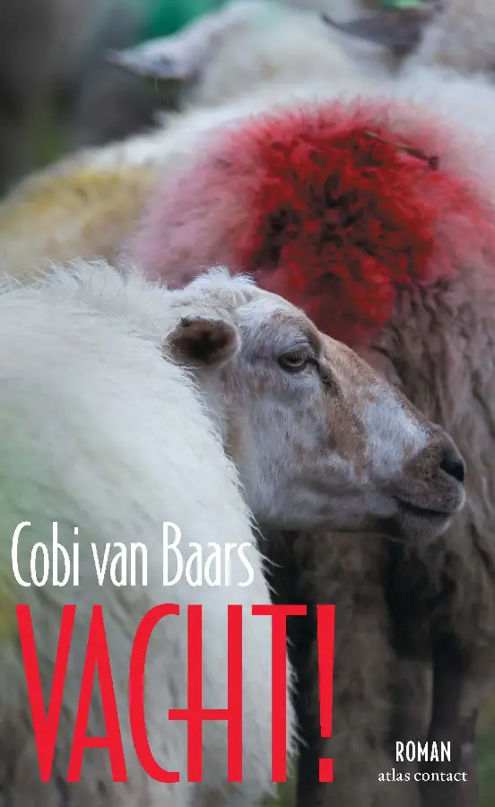 Vacht!