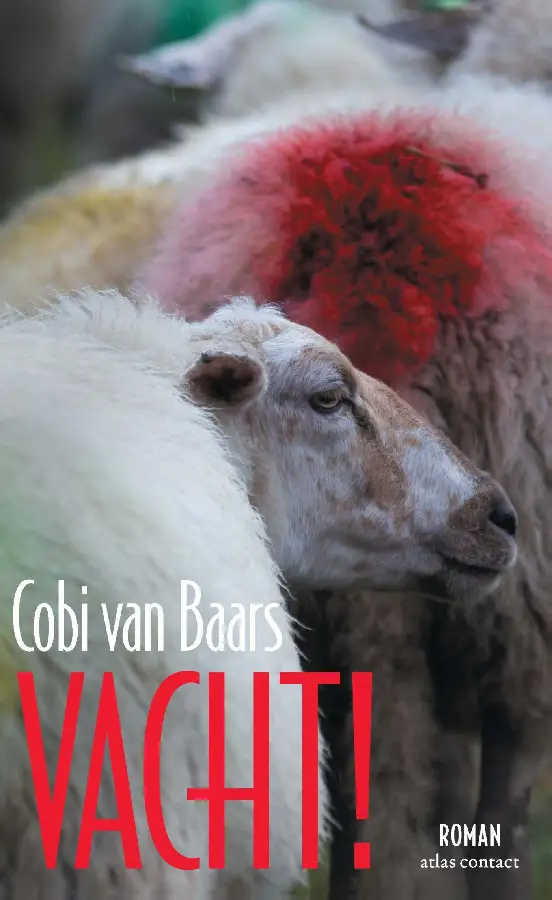 Vacht!