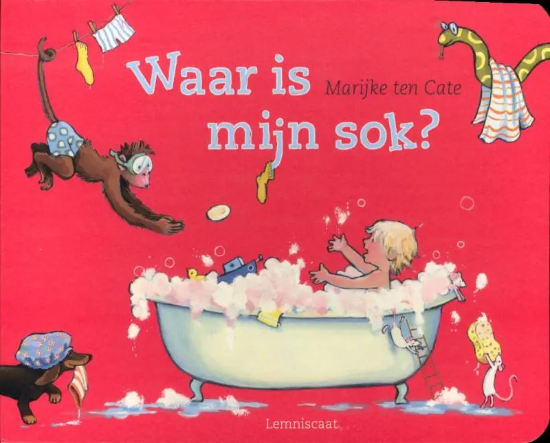 Waar is mijn sok kartonboek