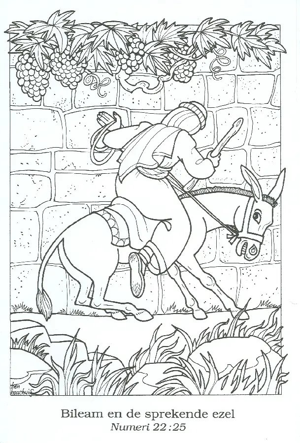 Marriage Talk doosje