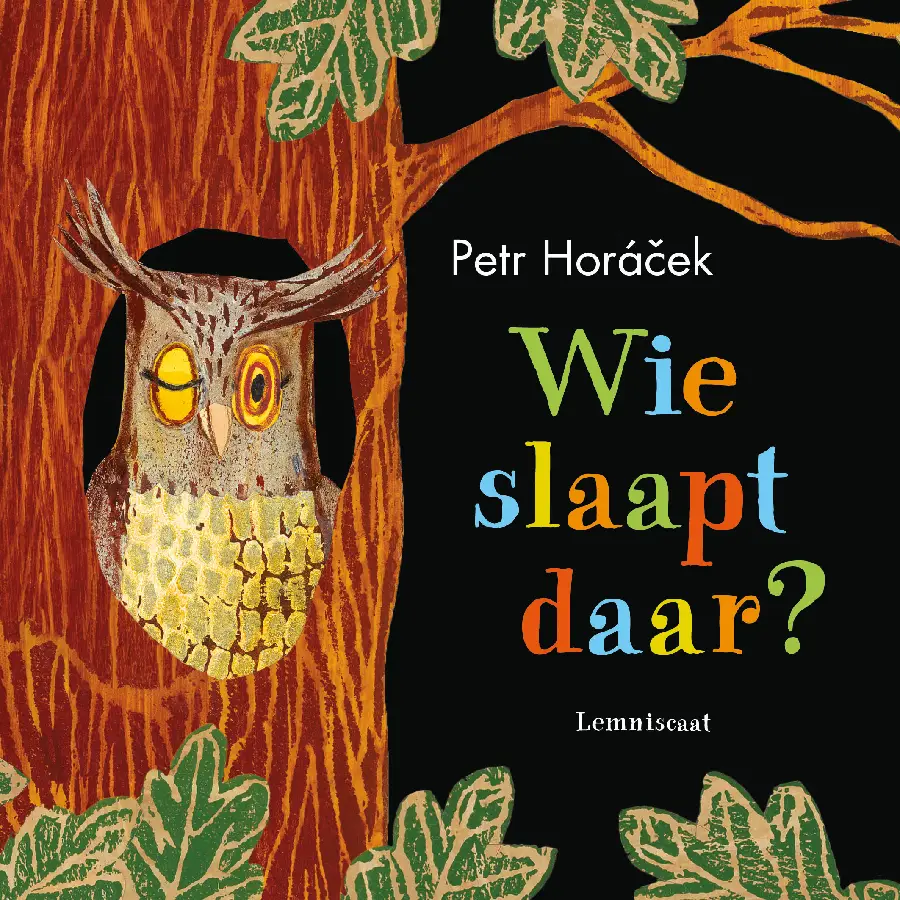 Wie slaapt daar?
