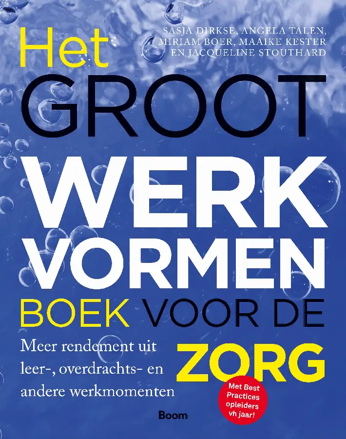 Groot werkvormenboek voor de Zorg
