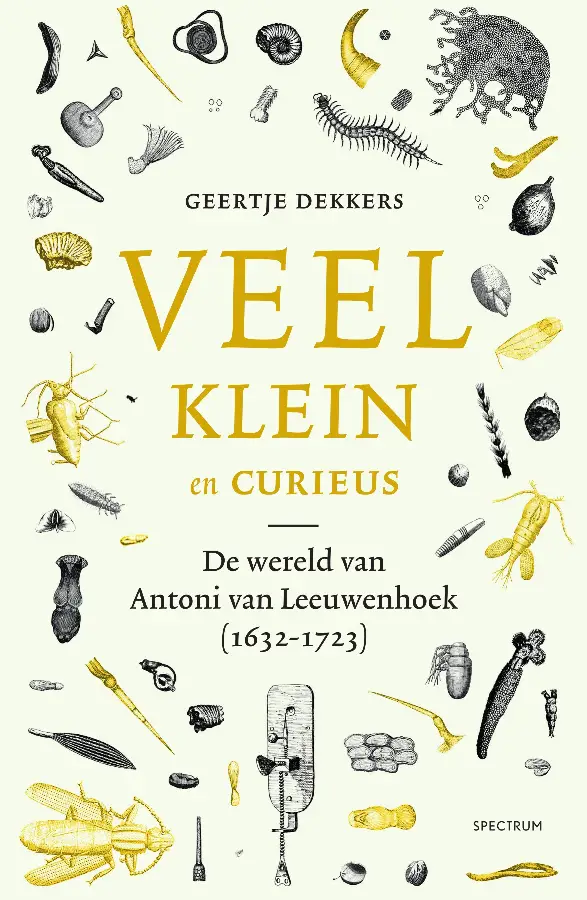 Veel, klein en curieus