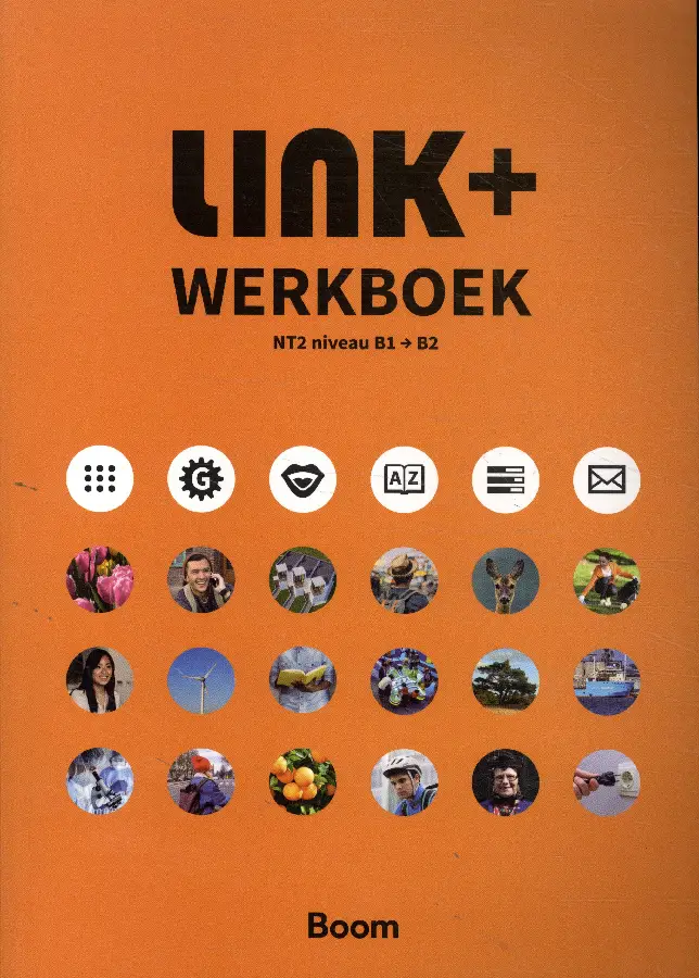 Link + werkboek / nt2 niveau b1 b2